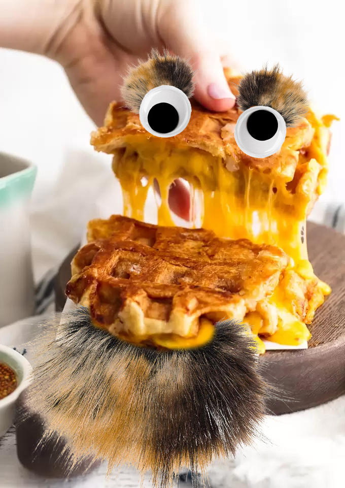 S16_157_CheesyWaffle